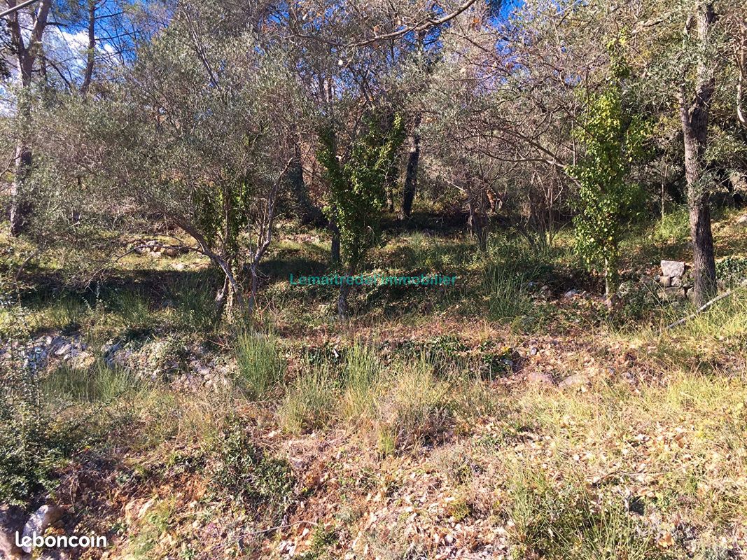 Terrain 5762 m² · à Saint-Cézaire-sur-Siagne · 5 762 m² · 390 000 €