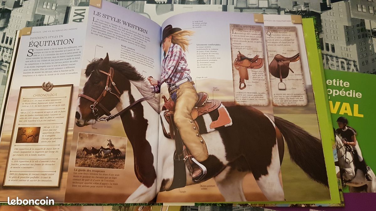 4 livres sur les chevaux: 1 malette remplie de fiches et 3 beaux livres, TBE (image 8)