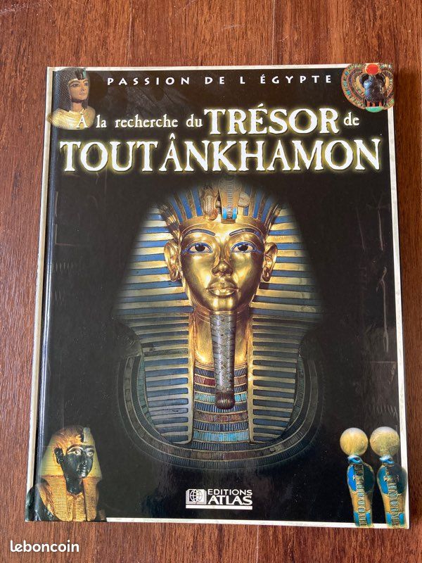 A la recherche du trésor de Toutankhamon (image 1)