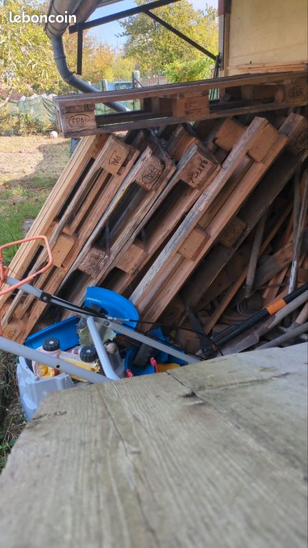 Palettes (image 1)