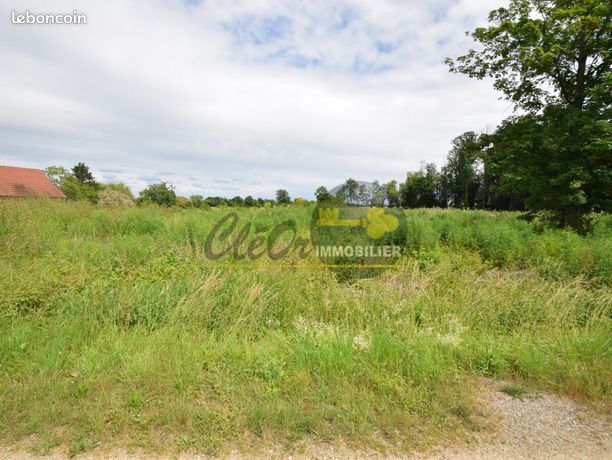 Terrain 2875 m² BRAZEY EN PLAINE