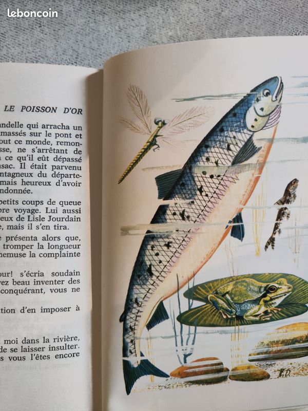 Le poisson d'or (image 8)