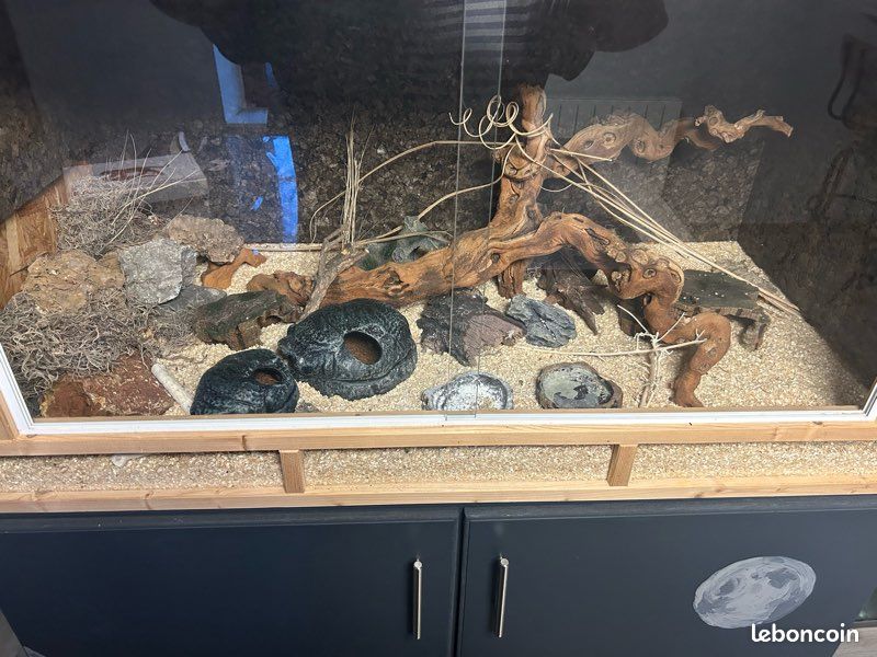 Meuble + terrarium (image 9)