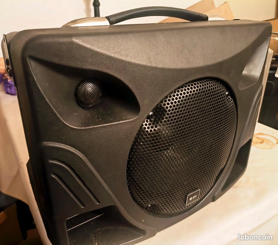 Sono portable QTX Bluetooth + 2 micros sans fil + housse (image 2)