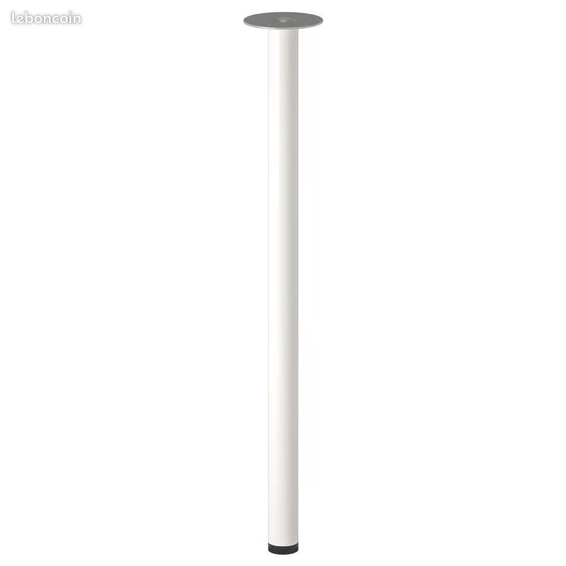 Pieds blanc (image 1)