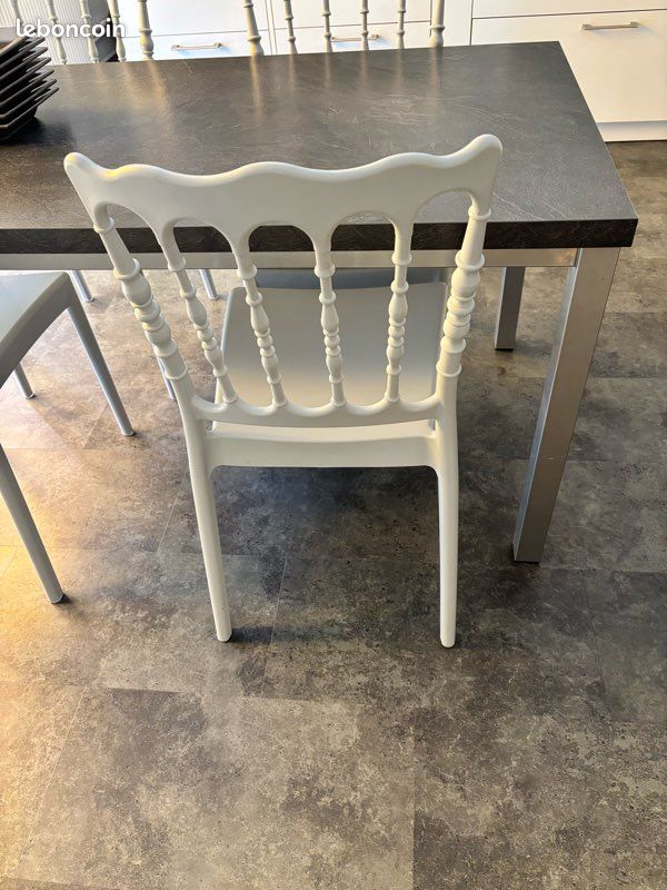 Chaises grises style Napoléon (image 2)