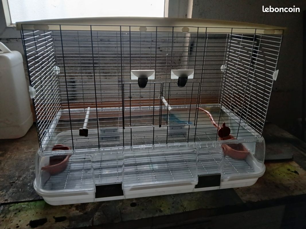 Cage vision (image 2)