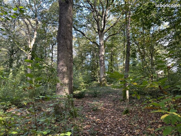 Terrain 276474 m² Le Vaudoué