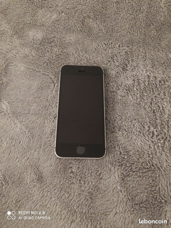 Iphone 5s en gris (image 1)
