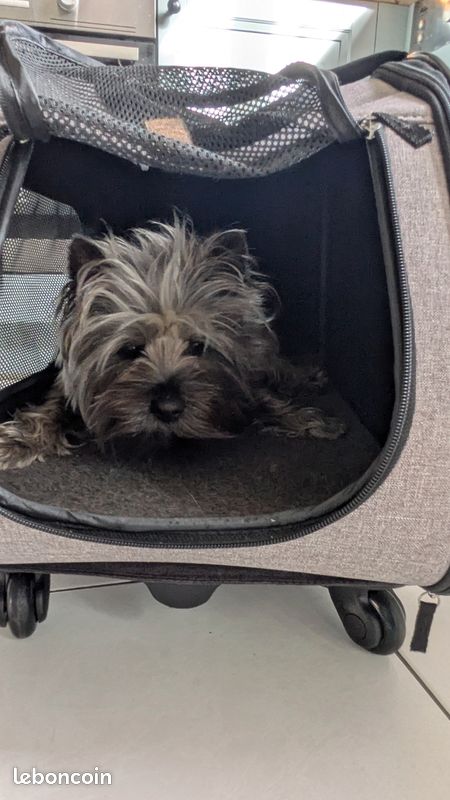 Sac trixie trolley à roulettes pour chien et chat Accessoires