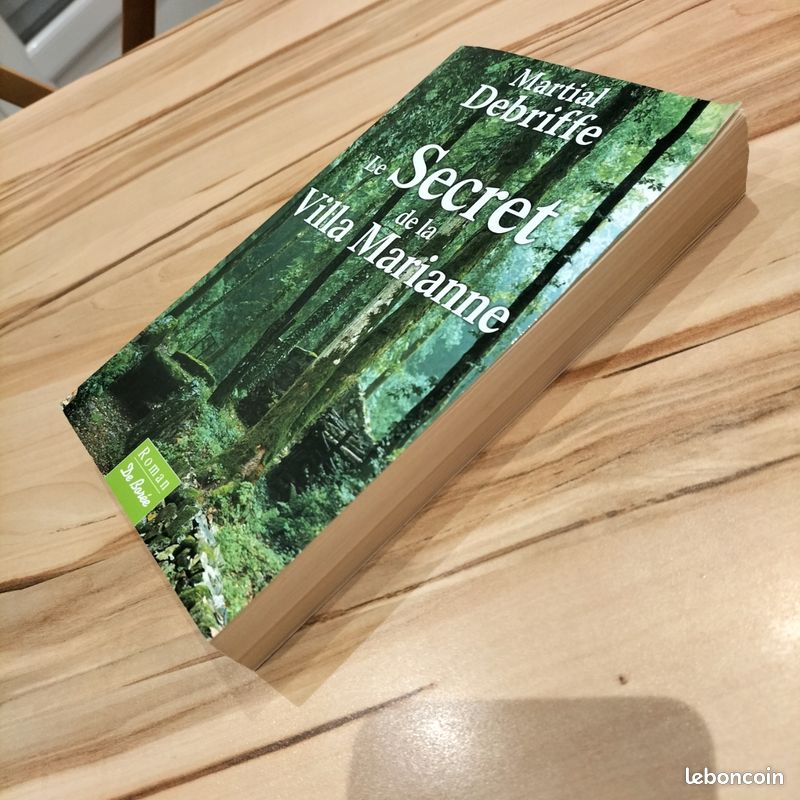 Roman"Le secret de la Villa Marianne" de Martial Debriffe (image 3)