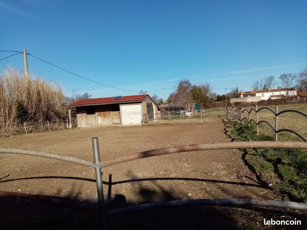 Location box chevaux