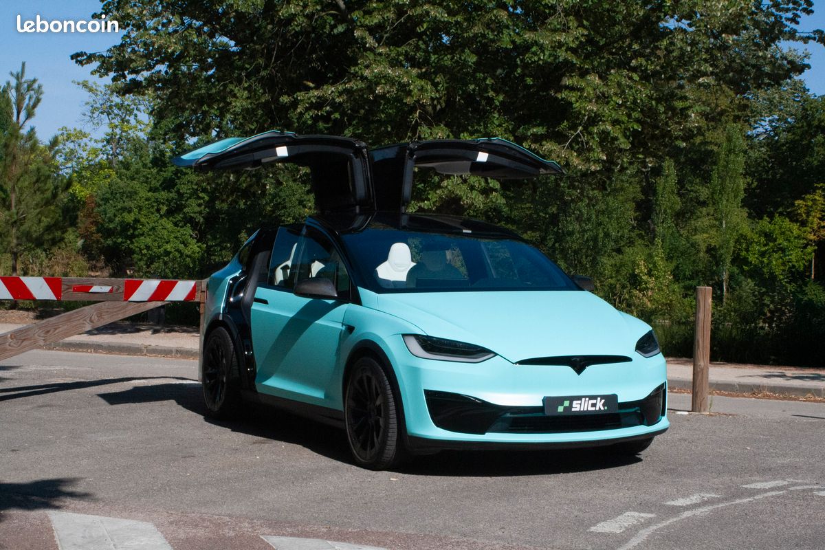 Tesla model X Plaid (image 1)