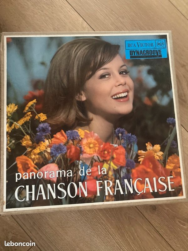Lot de disques Vinyles (image 3)