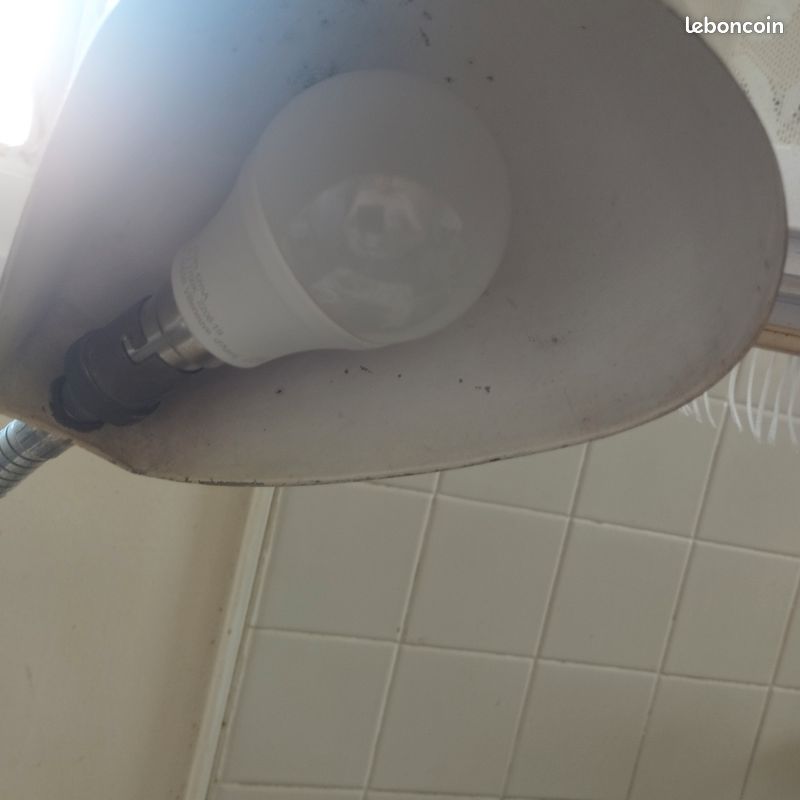 Lampe de bureau industrielle vintage (image 2)