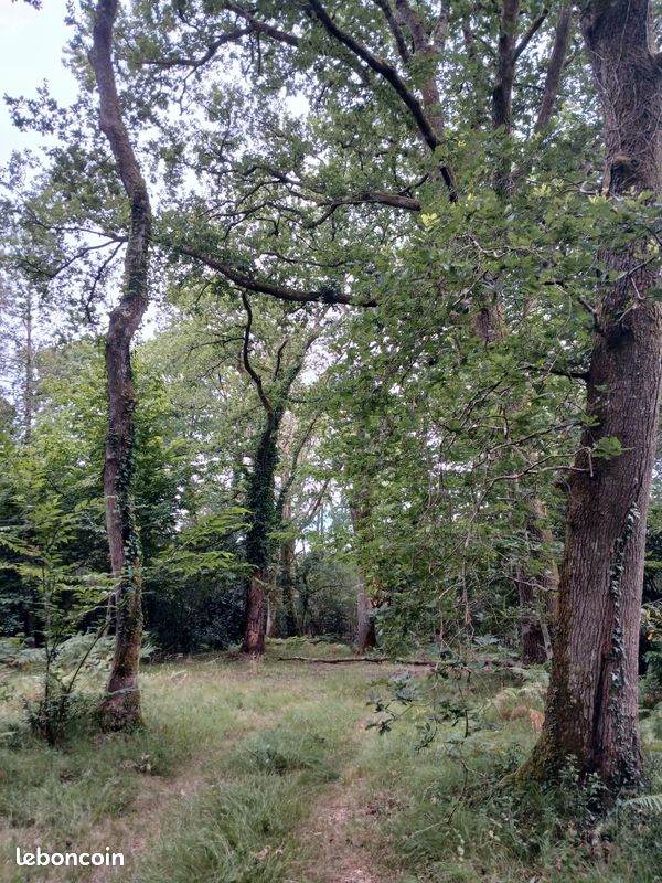 Terrain boisé · à Soustons · 119 000 €