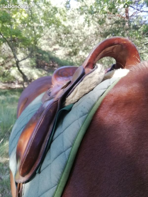 Fabriquer des selles pour chevaux à la main (suite