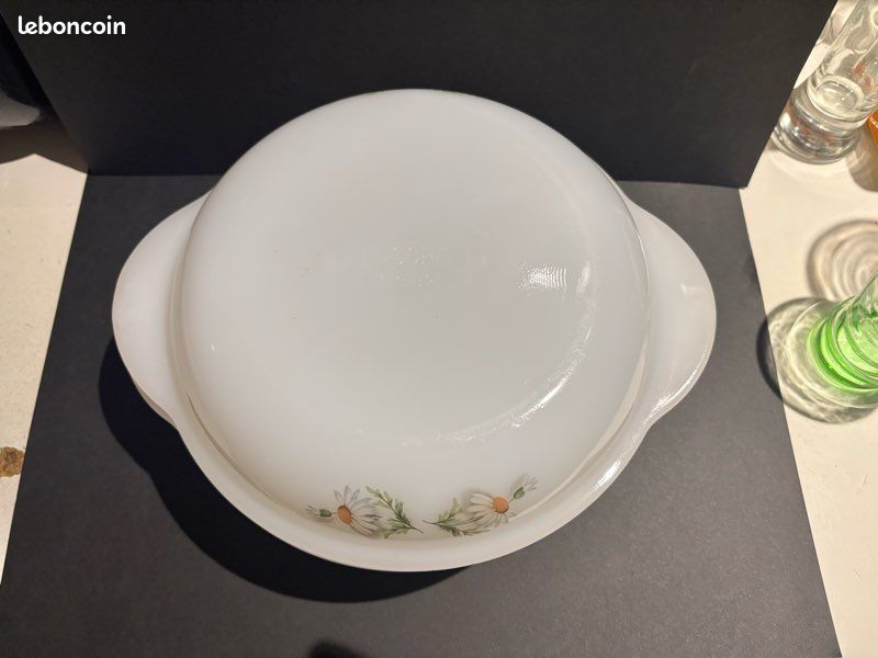 Plat de marguerites arcopal - France