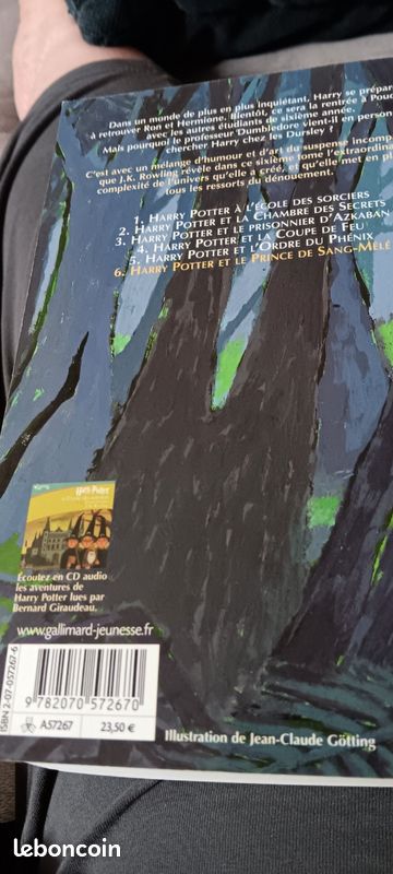 Livre Grand Format Harry Potter (image 2)