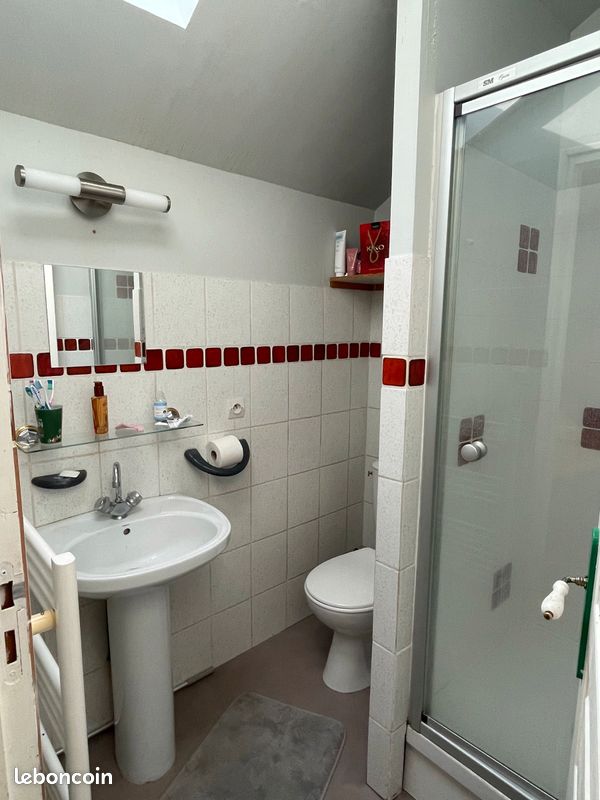 Appartement T1Bis 35m2 meublé avec mezzanine - Limoges 87000 Centre-Hôtel de Ville Emailleurs (image principale 3)