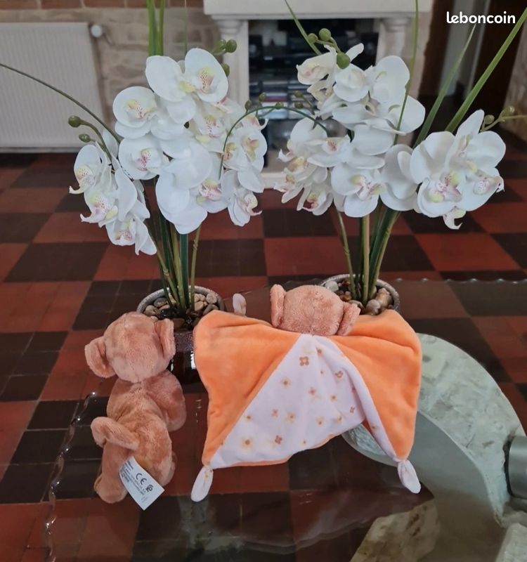 Doudou (image 4)