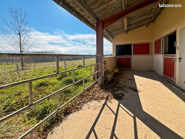 Hangar 170 m² avec 2 boxes à chevaux et 4 ha de prairie