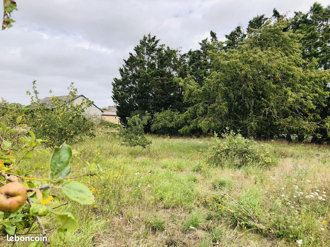 Maison 8 pièces 160 m² - La Grimaudière 86330 (image principale 5)