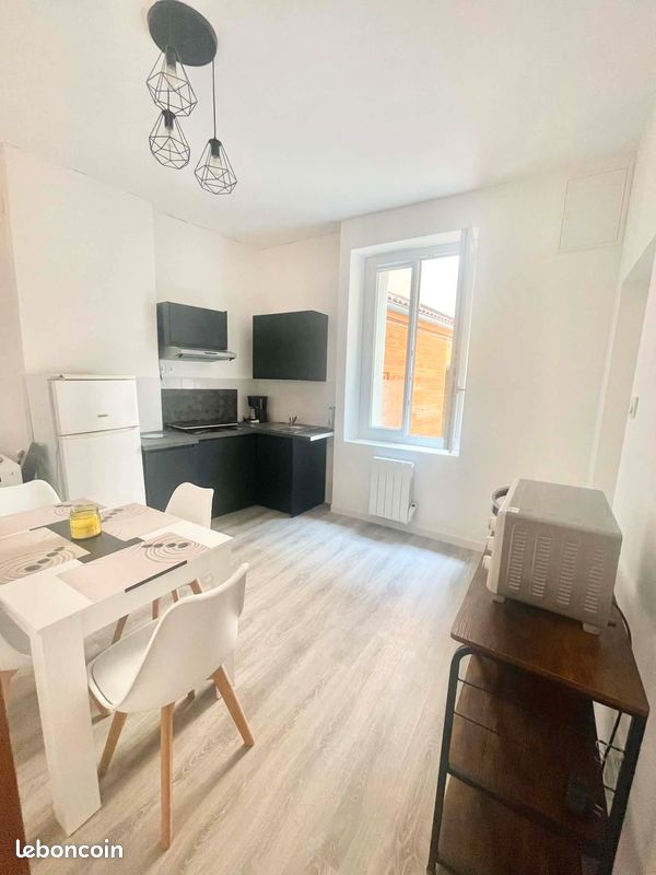 Appartement 2 pièces 44 m² · à Saint-Étienne · 44 m² · 490 €