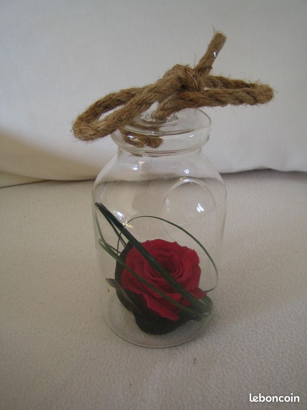 Rose lyophilisée (image 2)