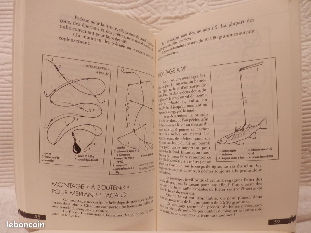 Toutes les pêches de la côte (image 3)