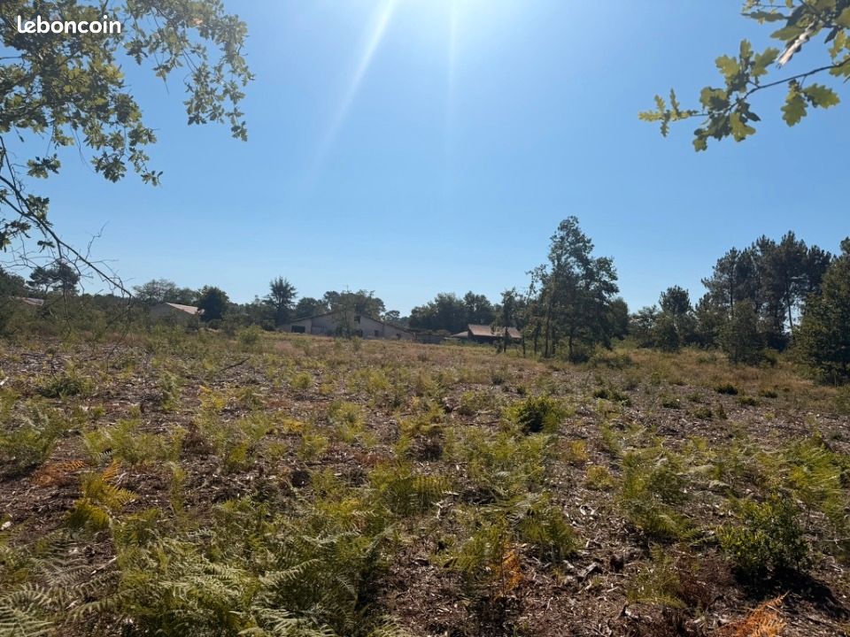 Terrain 480 m² Salles · 127 000 €