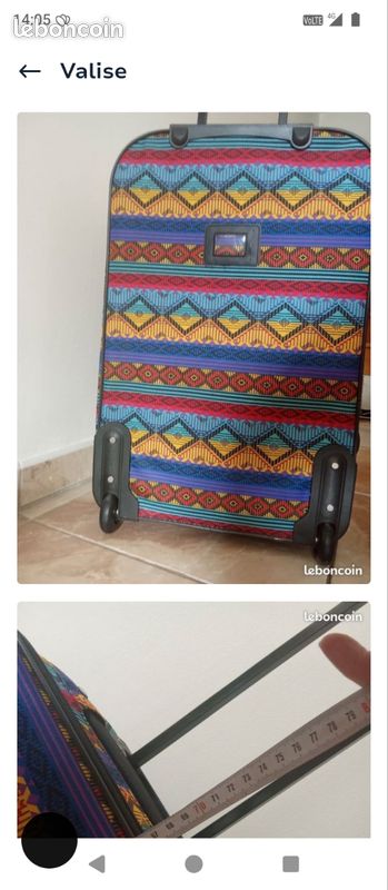 Valise (image 1)