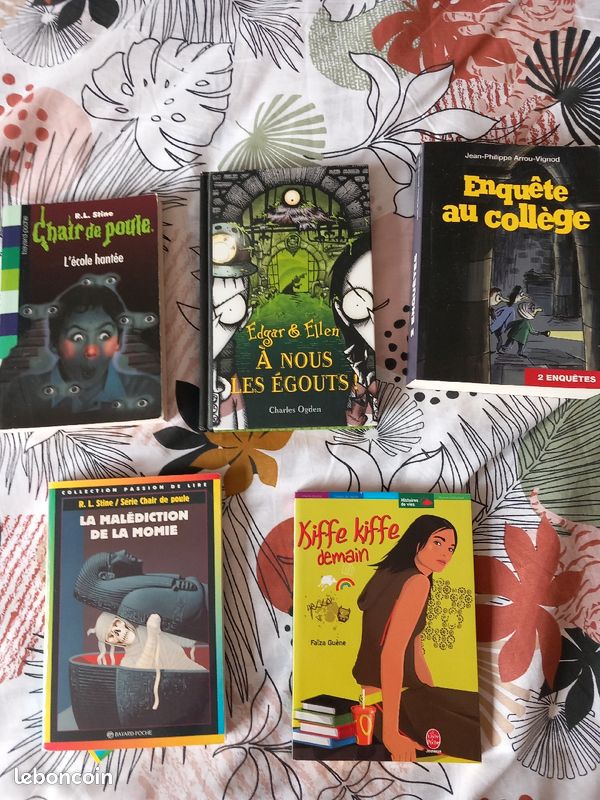 Livres divers jeunesse (image 1)