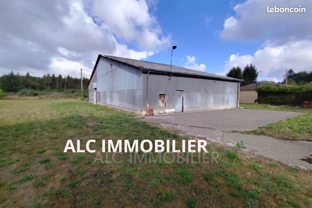 Terrain 9405 m² · à Saint-Martin-l'Aiguillon · 9 405 m² · 61 000 €