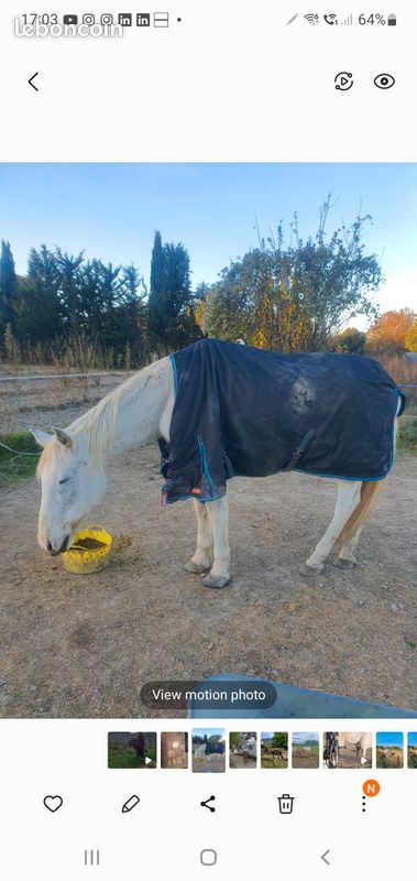 Couverture cheval (image 1)