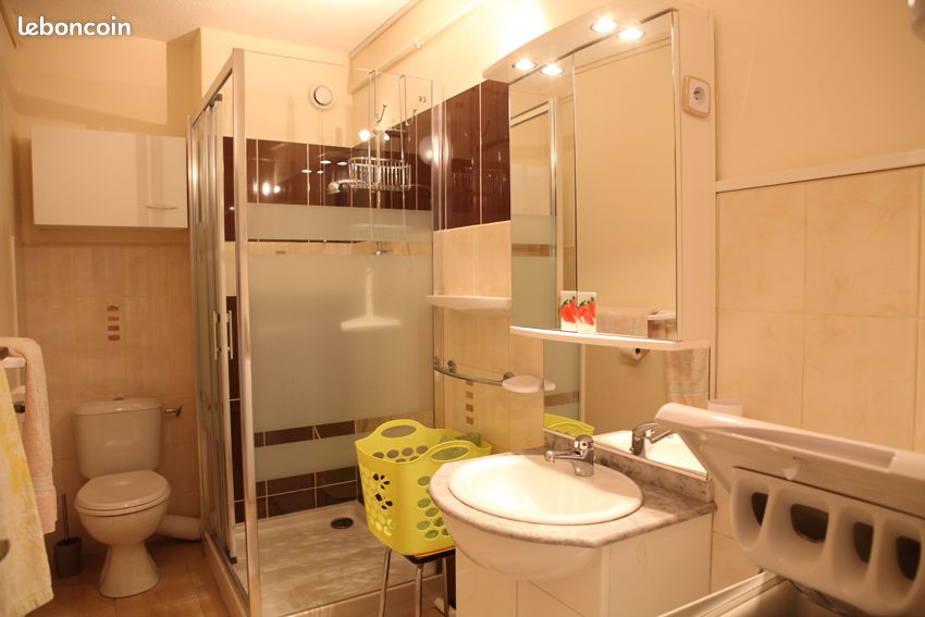 Location Amélie les Bains, quartier Petite Provence F2 CLIMATISE, balcon, parking, Wifi (image 5)