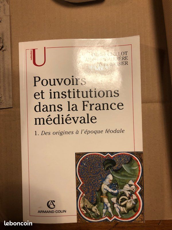Pouvoirs et institutions dans la France médiévale (image 2)