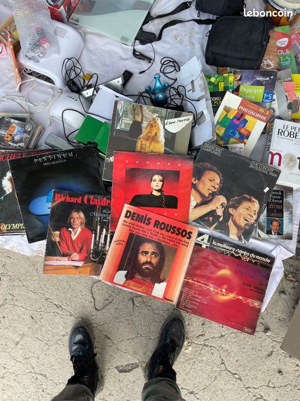 Vinyles (Sardou, Michèle torr, Disney…) (image 2)