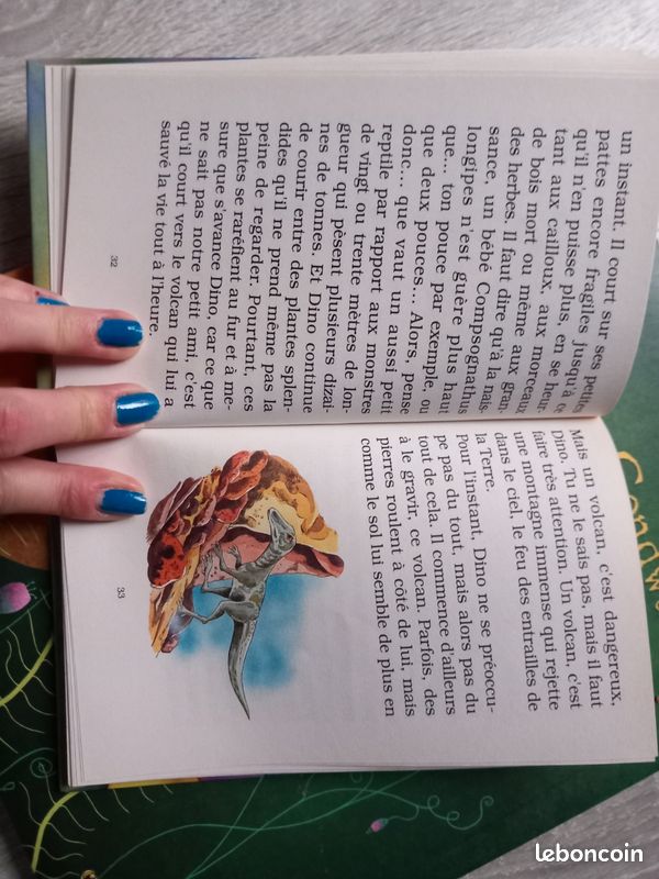 Lot livres sur les dinosaures (image 12)