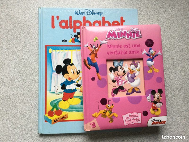 Lot de 2 livres Minnie et Mickey (image 1)