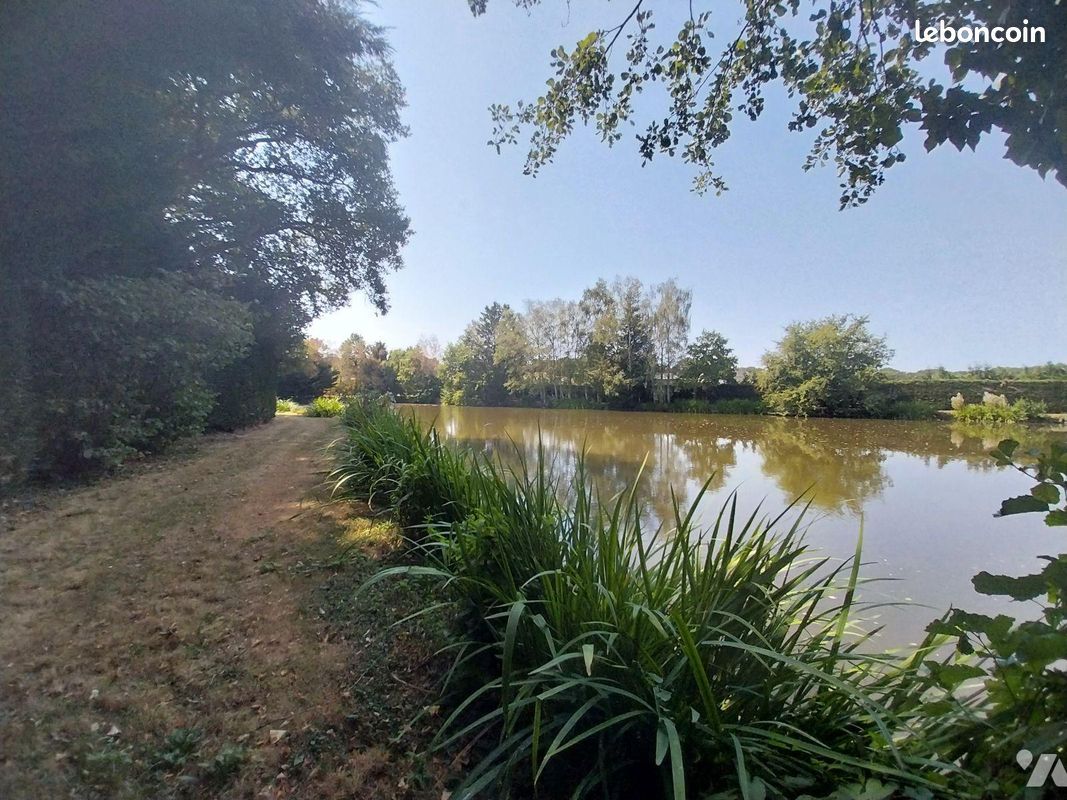 Terrain 8870 m² · à Bourgon · 8 870 m² · 64 800 €