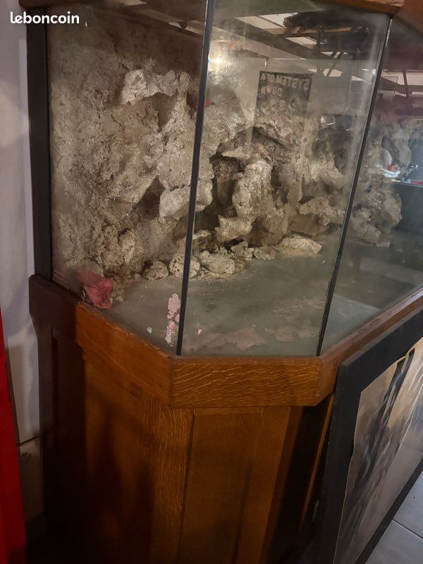 Aquarium (image 3)