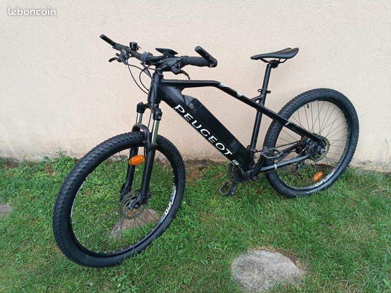 Loewi Velo Electrique Peugeot Pour Femme Vtt Peugeot Electrique