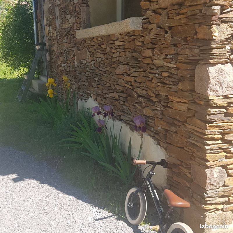 Gite Ardèche du sud (image 18)