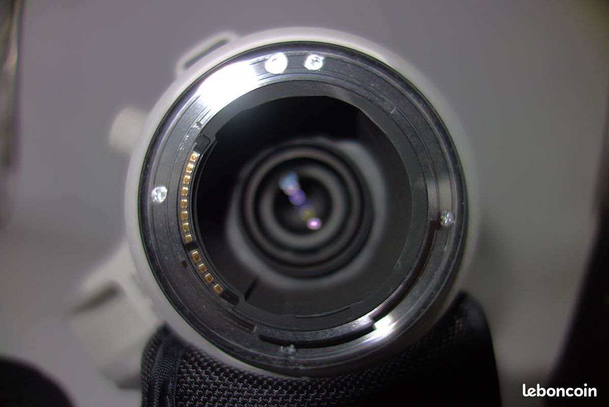 CANON RF200-800 mm F6.3-9 IS USM (image 8)
