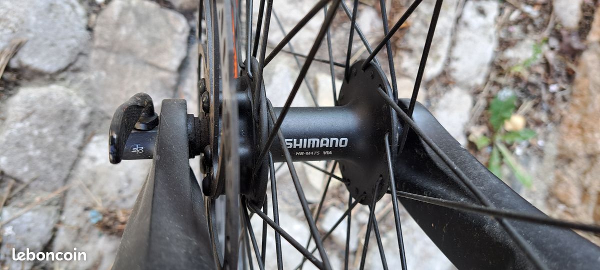 Pour Bulls Lacuba Evo Cross Modèle 2021, Lion E-Bike Batterie