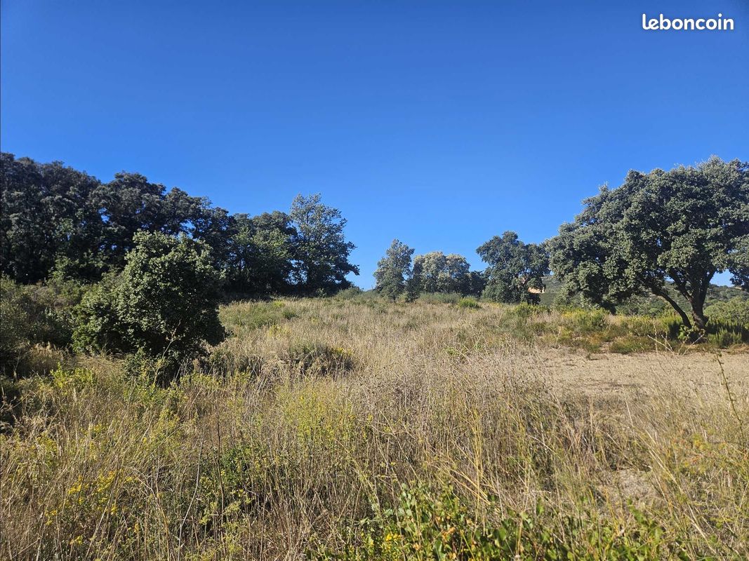 Terrain 307 m² · à Estagel · 78 285 €
