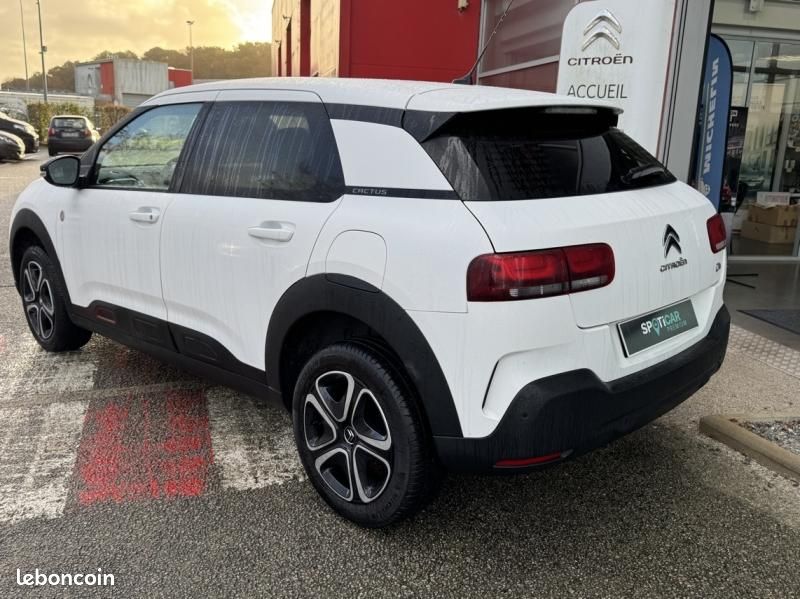 Citroen C4 Cactus BlueHDi 100ch S&S C-Series E6.d (image 11)