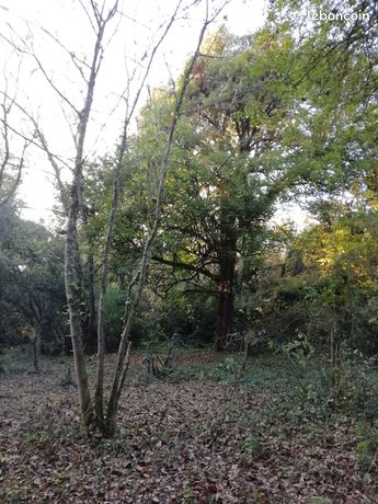 Terrain de loisir, non-constructible-Guérard