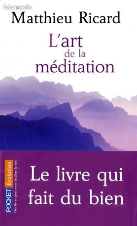 L'art de la méditation RICARD MATTHIEU (image 1)